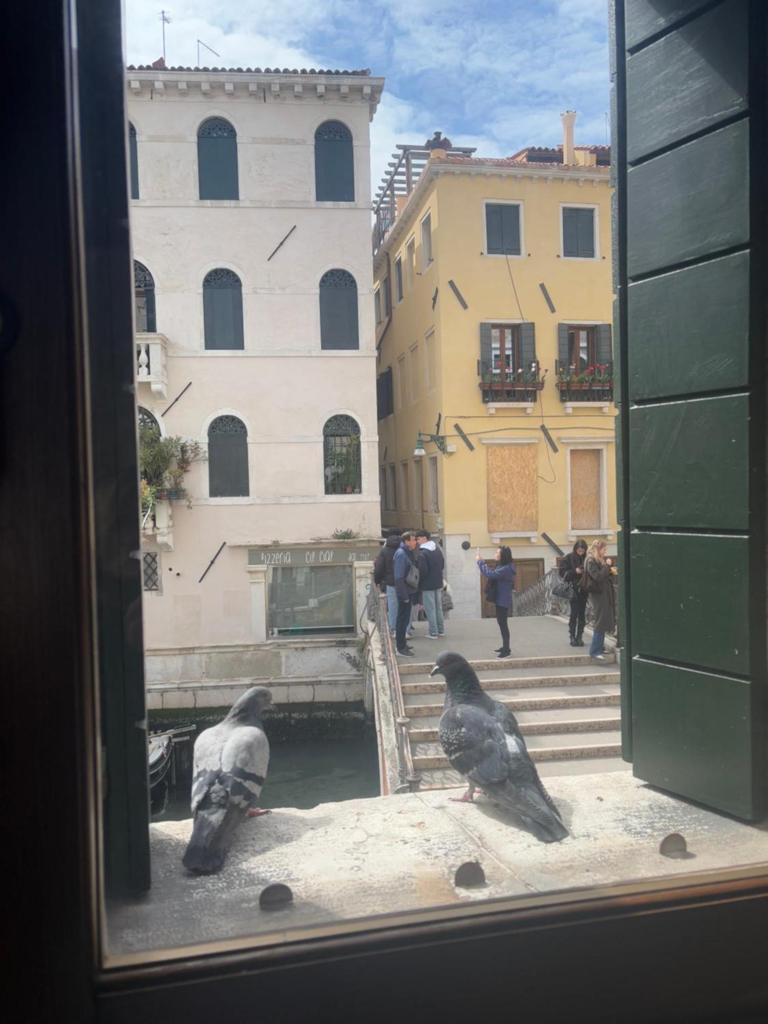 Luxury San Firmino Canal View Venise